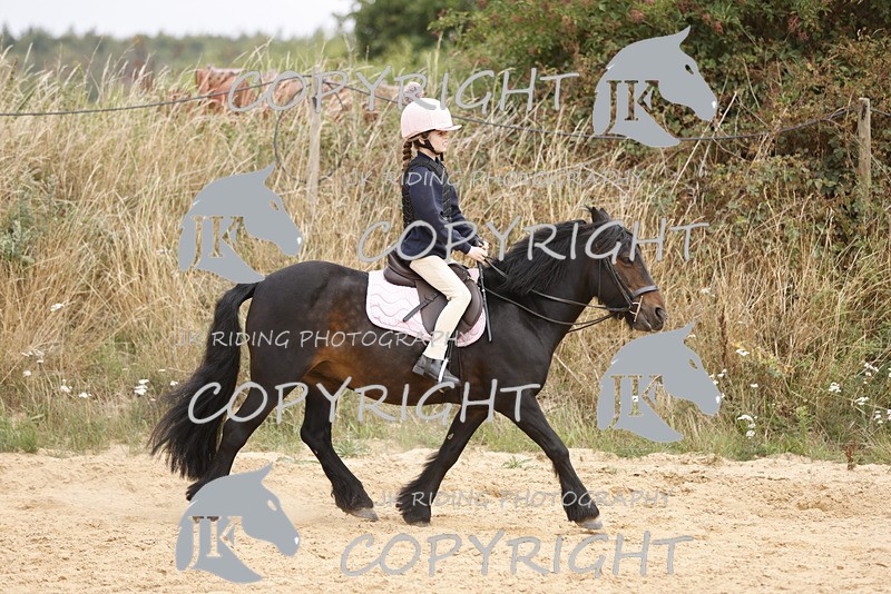 _R6A0915 - Sand arena