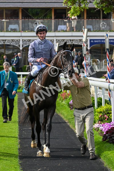 160524-Race 6-Andesite-6767 - Race 6 4.45pm Frank Whittle Partnership ebfstallions.com Novice Stakes