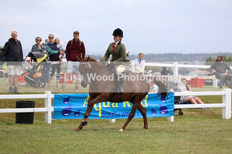 3E7A1012 - Class 8: Open Riding Horse/Hack