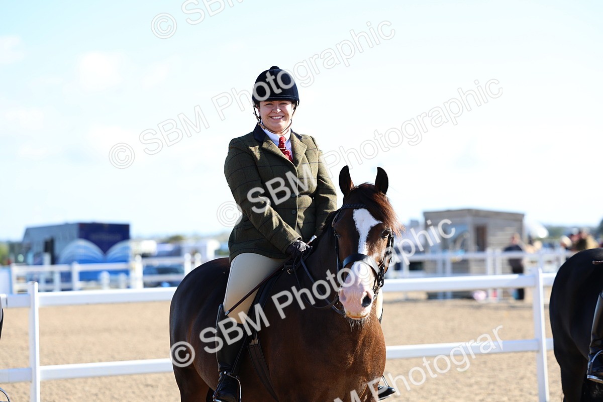 SBM_08862 - Class 302 - Ridden M&M - Large Breeds
