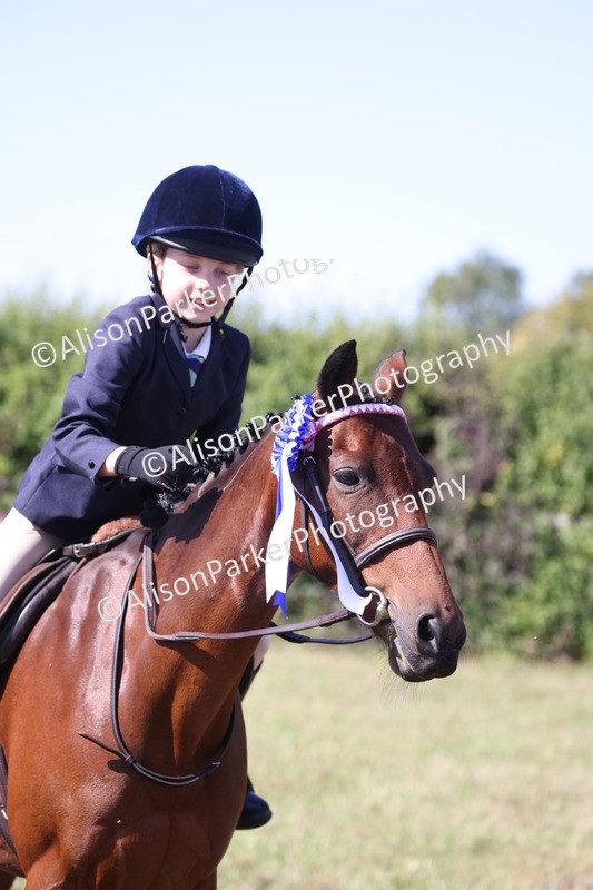 20260906-2310 - Class 16 - Family Pony
