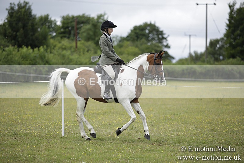 BVR160717-1880 - Ring 1 BVRC Show 16/07/17