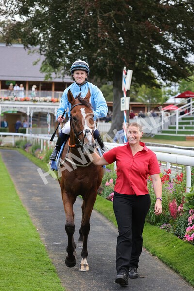 yr24092021r8-36 - Race 8 5.25pm William Hill Build Your Own Odds Apprentice Stakes