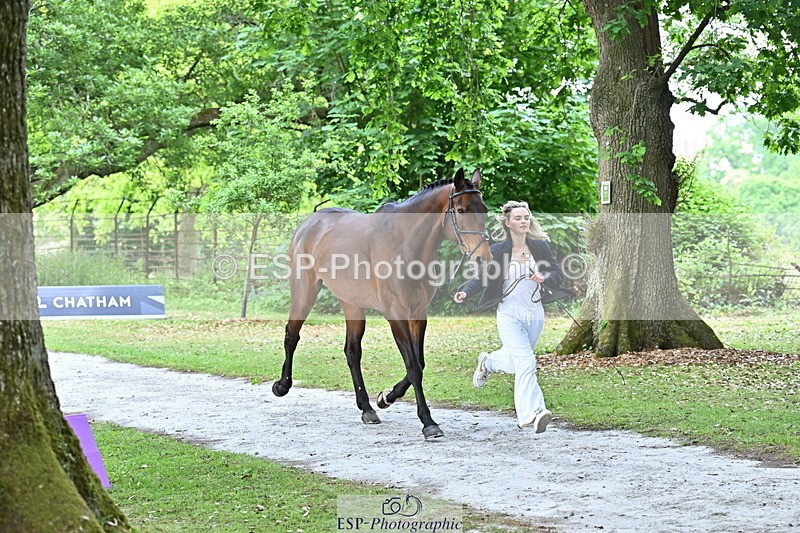 250521A-144220-00177 - A-054-Alice.Gates-SHANBEG.PANDORA