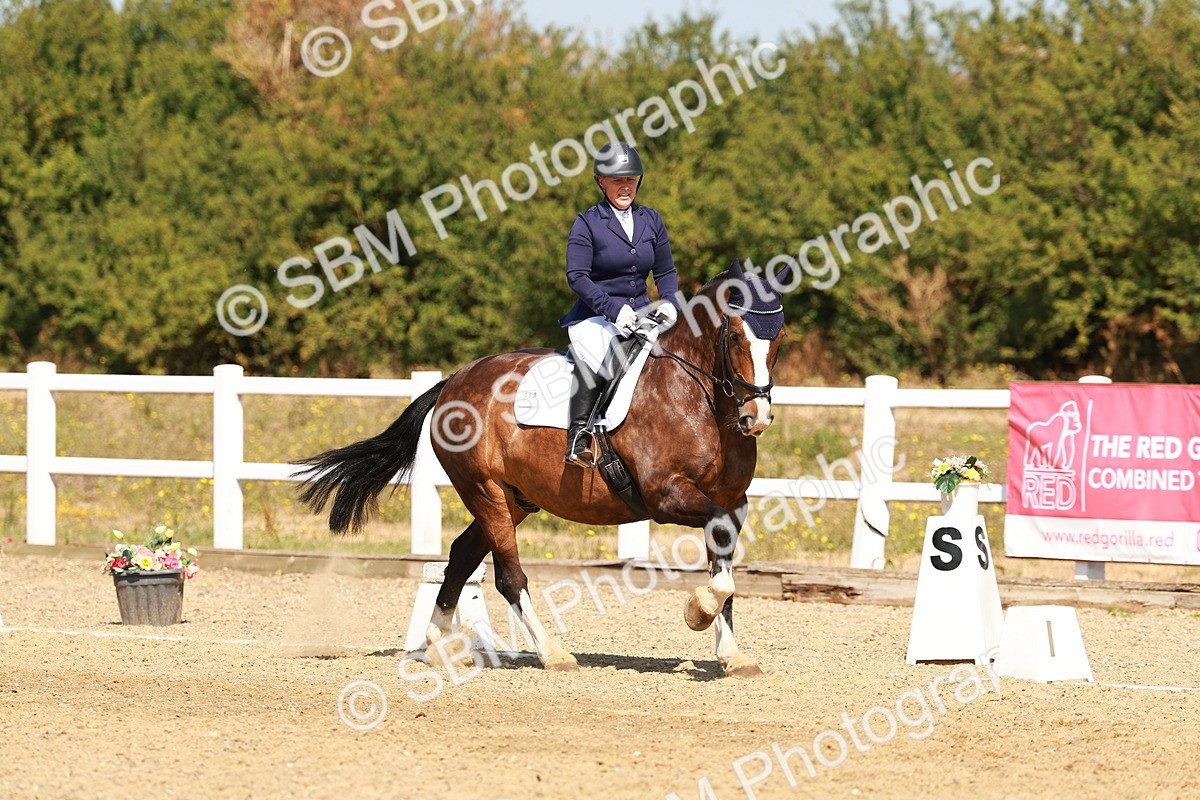 SBM_017947 - Class 9 - N5 Bronze 10.33.11.36