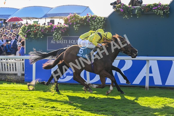 111025-Race 5-Morshdi-8923 - Race 5 Coral 'We're Here For It' EBF Maiden Stakes at York