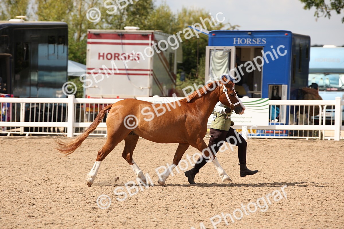 SBM_04572 - Class 20 IH Veteran