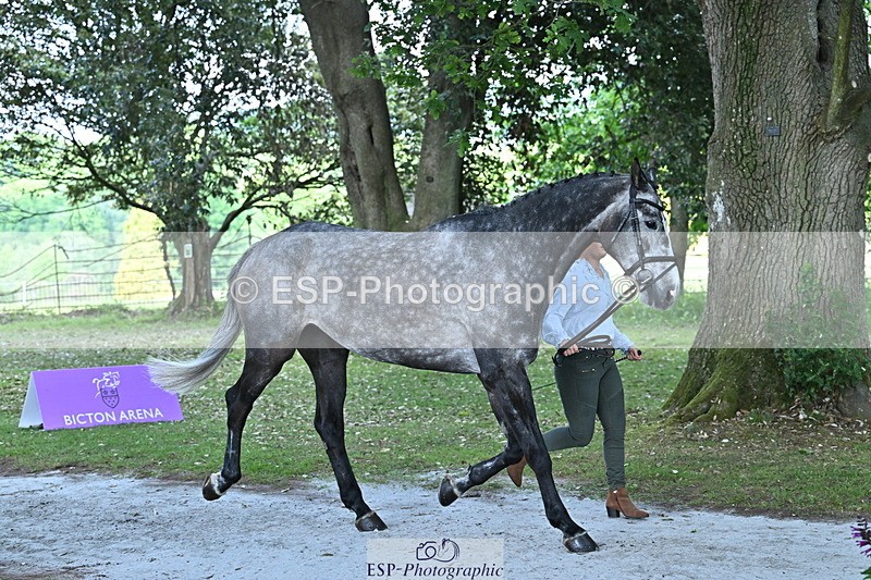 250521A-160641-00921 - C-268-Lucy.Stimson-RUSTINO