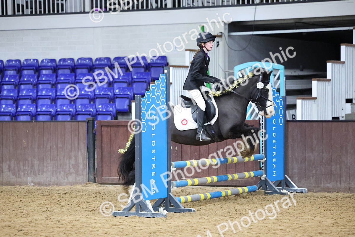 SBM_001127 - Class 3 - Christmas Tree Stakes - 60cm