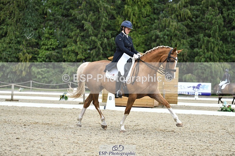 230812-143950-04755 - Cls 7 FEI PSG Bronze