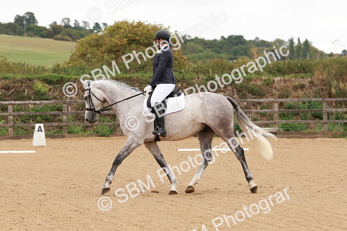 SBM_001067 - Intro 2