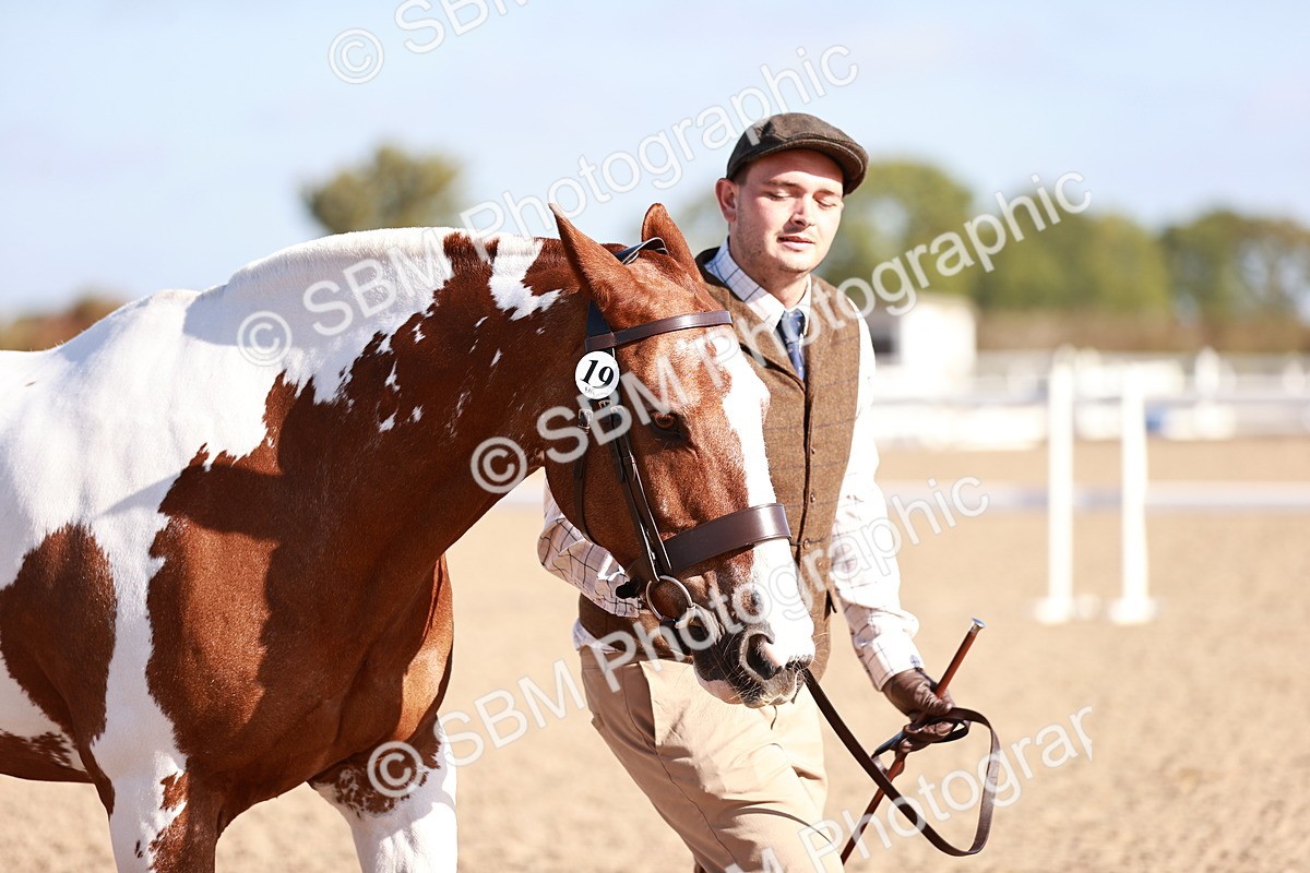 SBM_22077 - Class 703 - IH Coloured