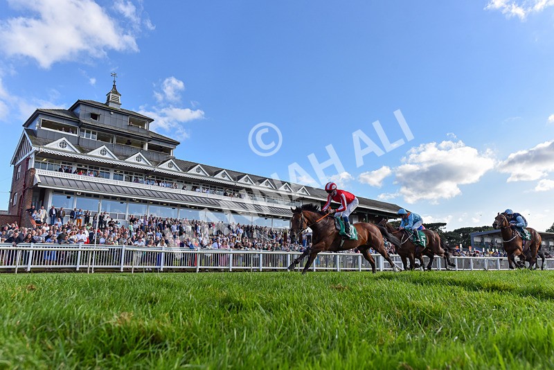 160824-Race 3-Force And Valour-3635 - Race 3