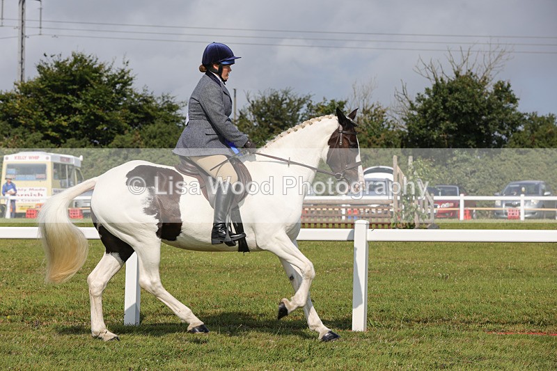 1X9A3497 - Skewbald and Piebald Ridden Championship