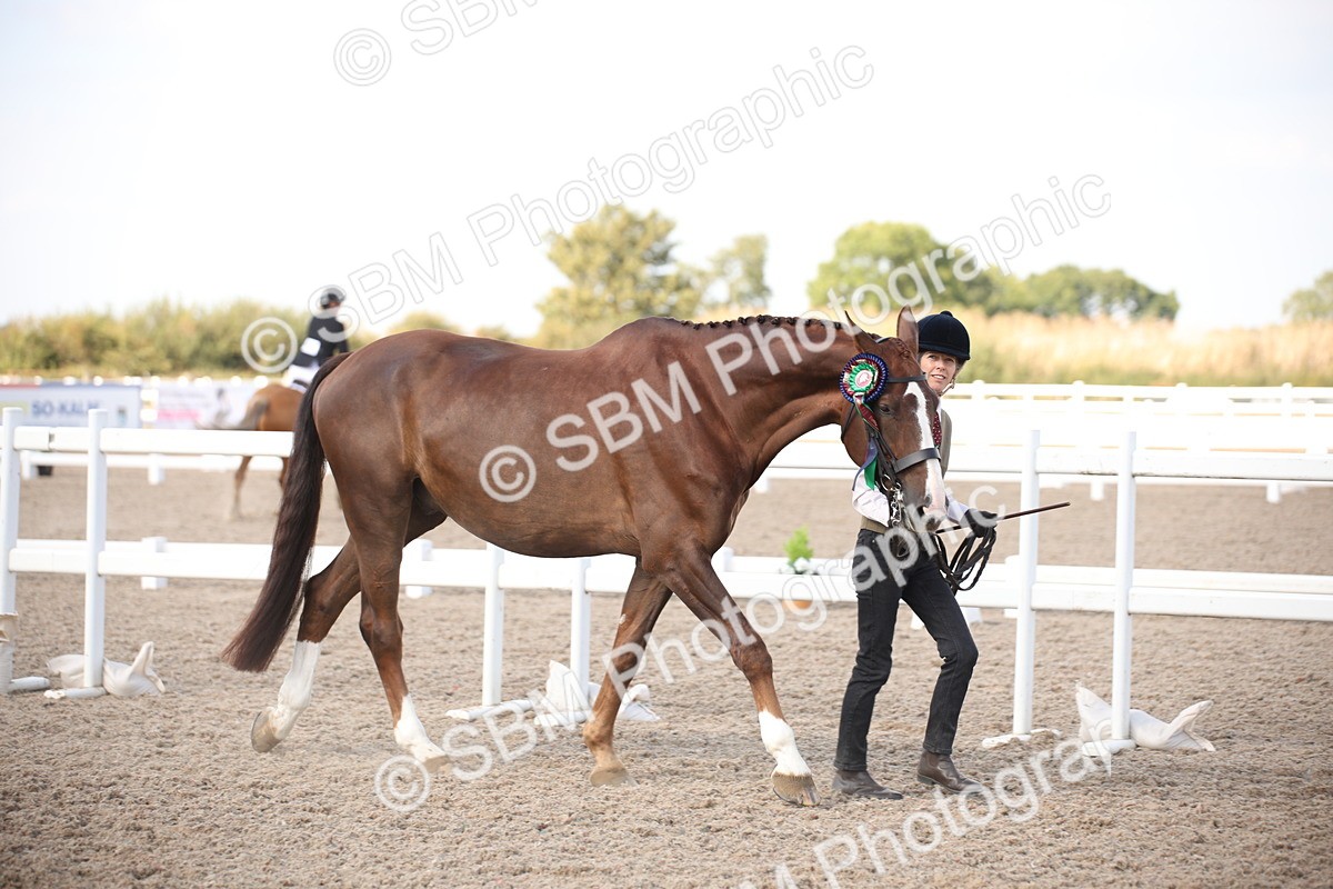 SBM_07151 - Class 25 IH Foreign Breeds- Pure bred