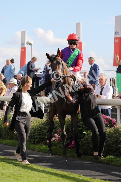 yr20082022r7-2 - Race 7 5.20pm Sky Bet Finale Stakes