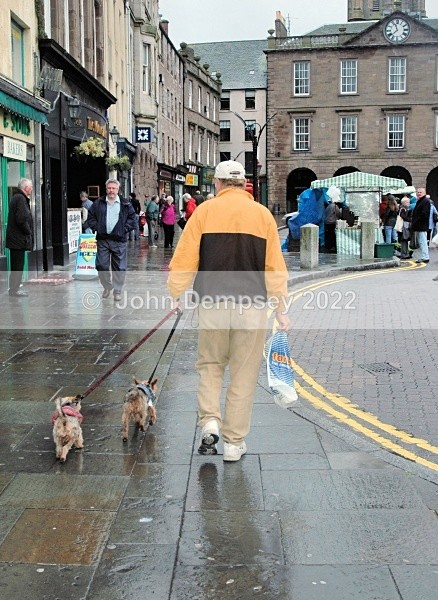 Hovis Heads Home - Walking the Dog