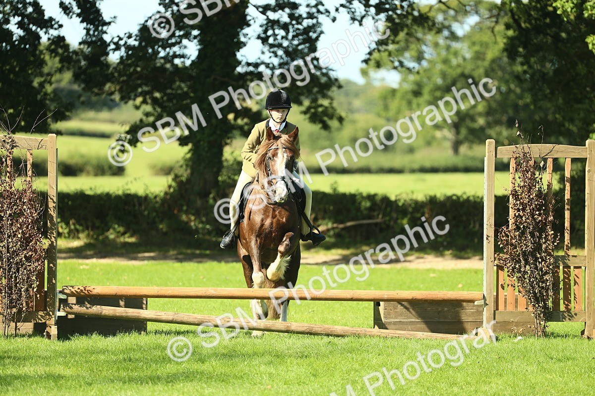 SBM_37548 - S29 - Novice & Newcomers Working Hunter Pony