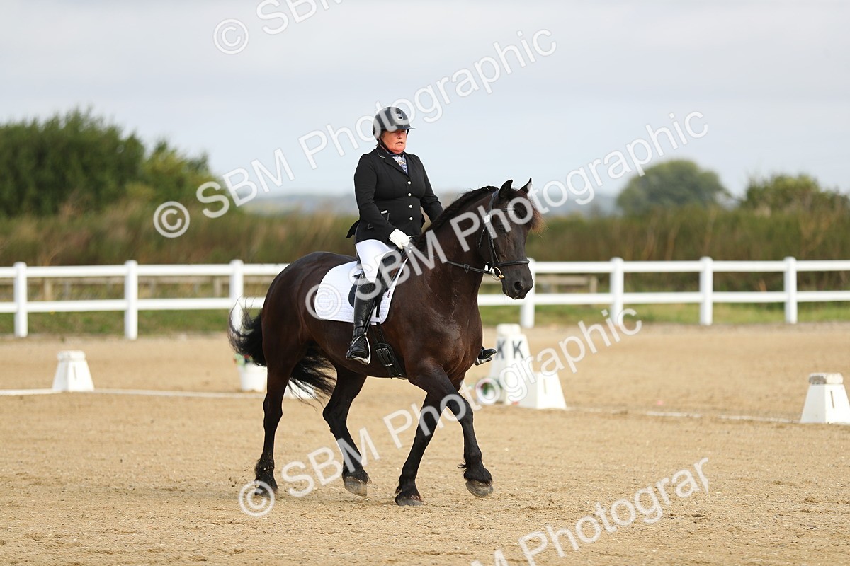 SBM_015032 - Class 13 - Novice 23 - 8,30-9.33
