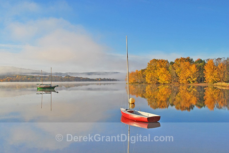 Sailboats in Autumn Foliage New Brunswick Canada - New Brunswick Landscape
