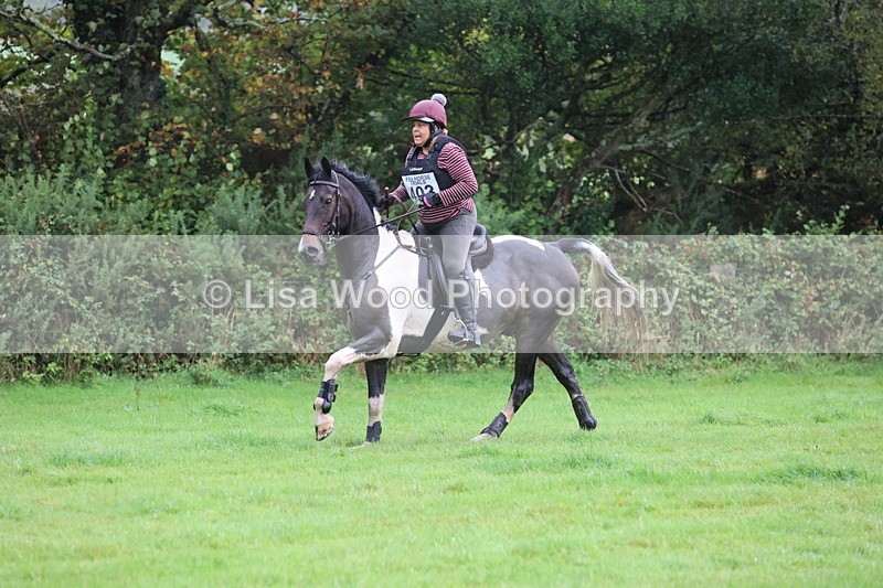 JPP_5405 - Class 4: 80cm: Crossed Logs