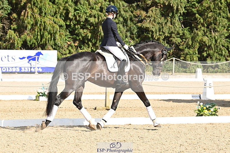 250808A-170423-02236 - Preliminary GOLD Presentations