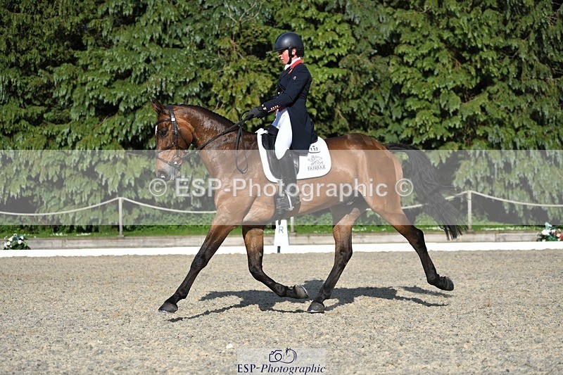 230525-175624-03642 - 132-OGUE_VERDI-Kitty_King-WEDTrotUp+DR