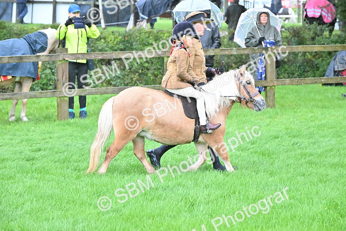 SBM_36493 - S18 - Novice & Newcomer Lead Rein Pony