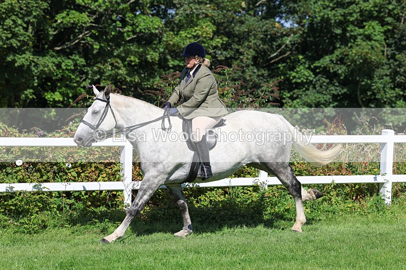 3E7A8424 - Class 4: Novice working Hunter