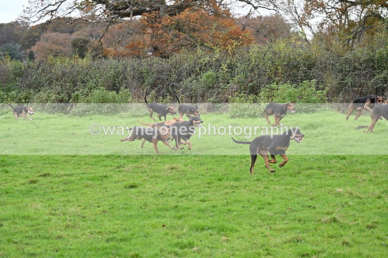WJ7_1548 - Camera 2