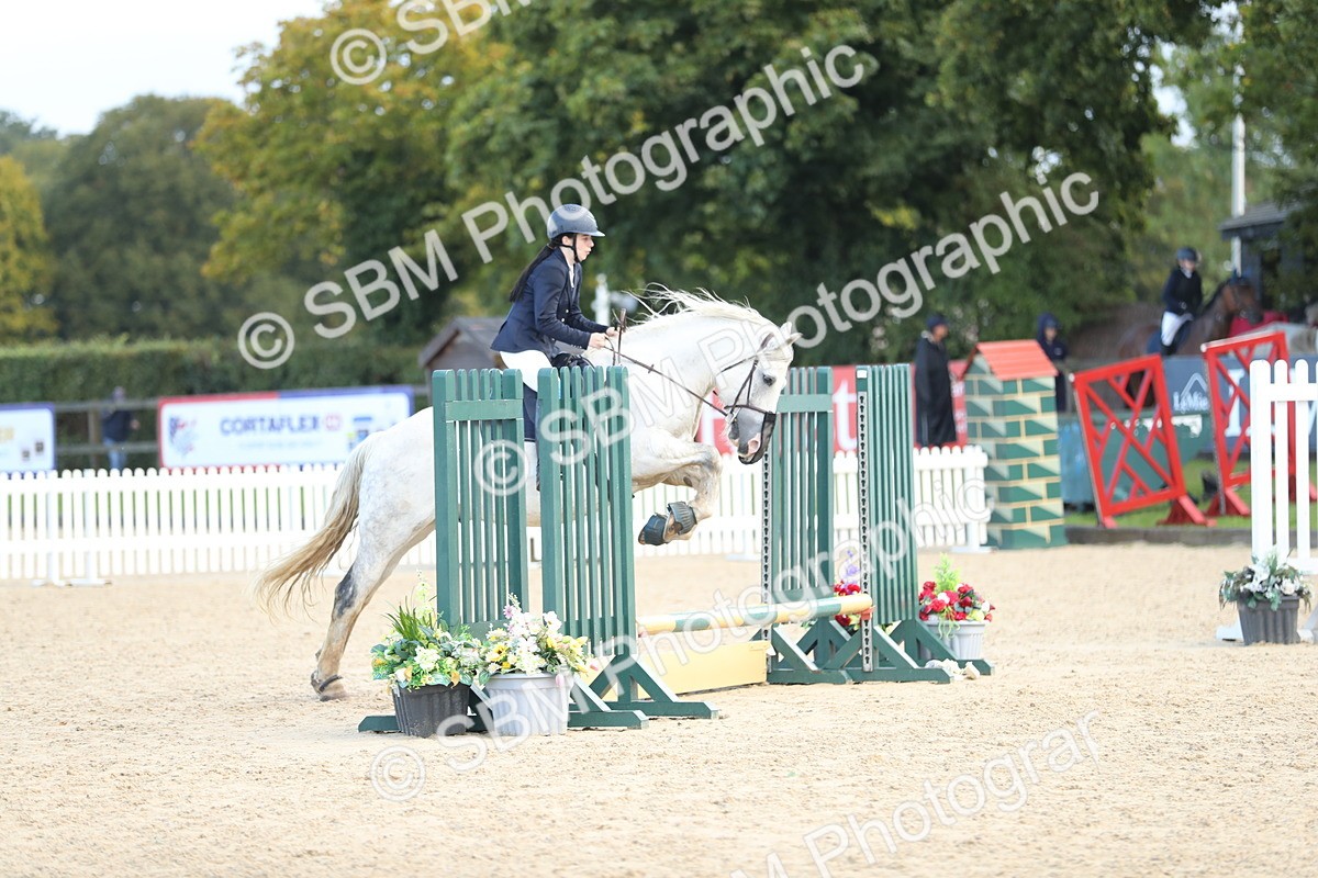 SBM_37283 - J20 - Junior Horse 50cm Championship