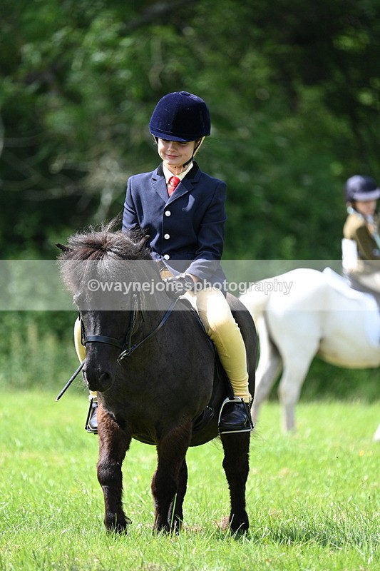 WJ7_1384 - Class 11 Condition & Turnout