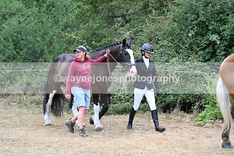 WJ7_8629 - Class 4a Prettiest Mare 14.2hh and over