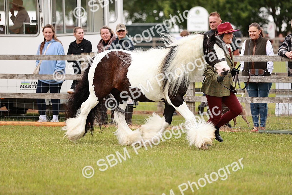 SBM_06024 - Class 39-41 TGCA In Hand and Ridden