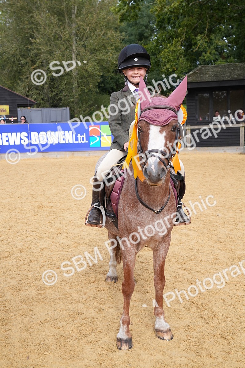 SBM_70504 - J3 - Mini Tour Junior Pony 40cm Championship