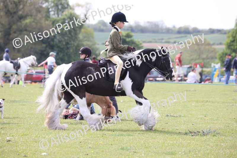 20260426-2953 - Class 33 - Best Pony 14.2hh and Under