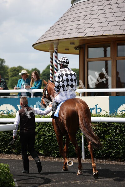 yr10062022r1-11 - Race 1 2.00pm Constant Security Gentlemen Amateur Riders Stakes