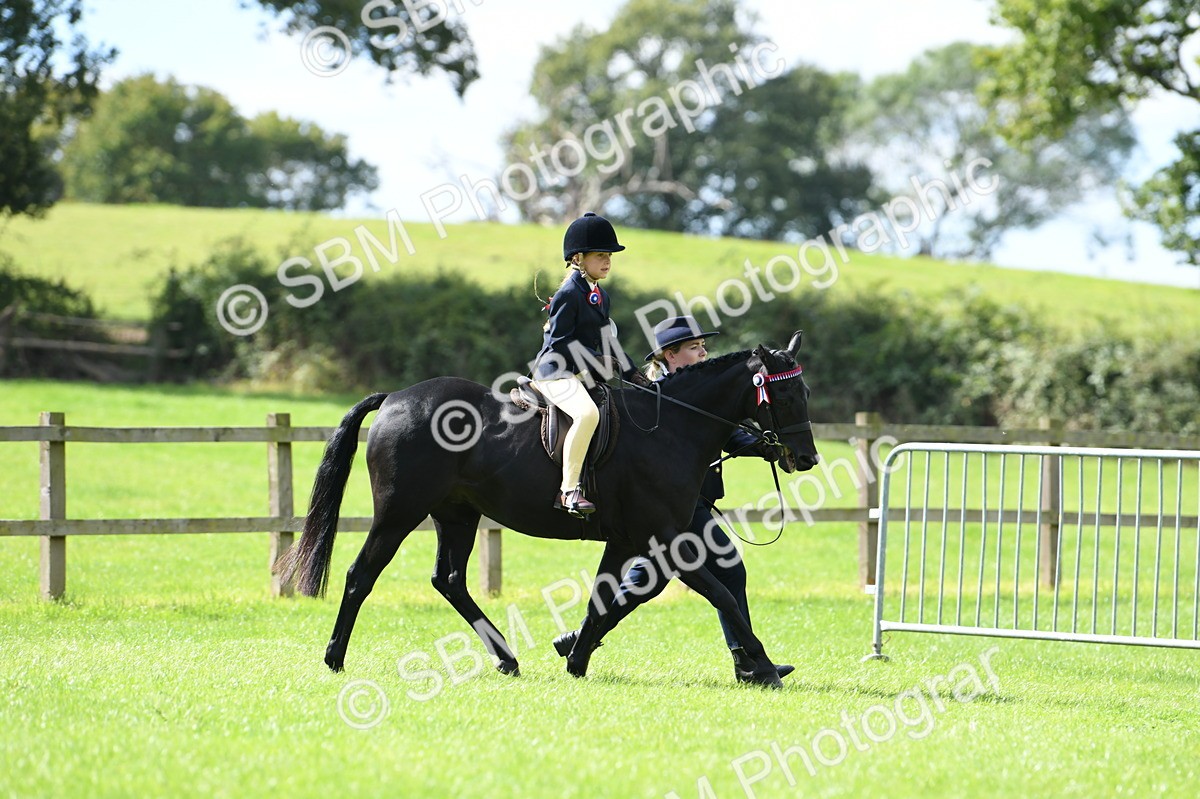 SBM_41145 - S19 - Lead Rein Show & Show Hunter Pony