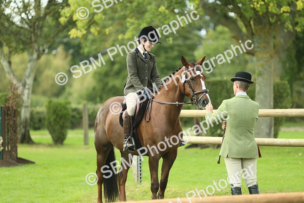 SBM_47947 - S32 - Novice & Newcomers Working Hunter