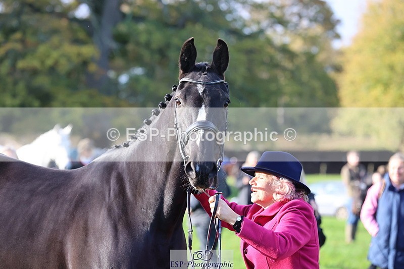 251026A-095313-22552 - D-315-Georgina.Marks