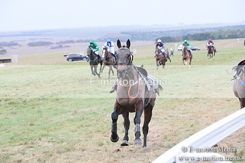 PtP 060119 365 - Larkhill Racing Club - Point-to-Point- 06/01/2019