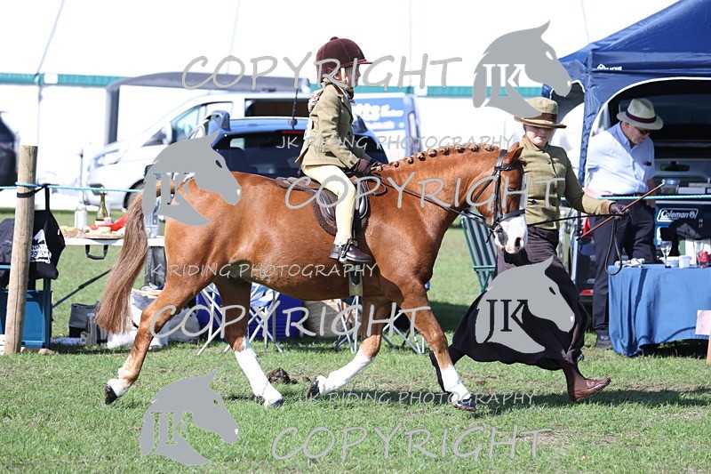 APP_3848 - Class 13 Lead rein