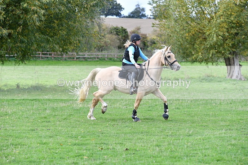 WJ5_0931 - Time 14:29 to 15:31