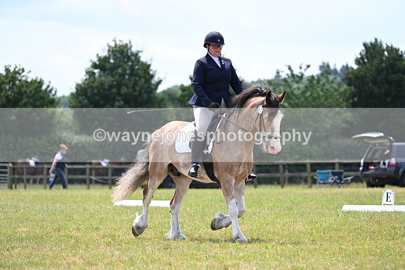 WJ7_8133 - Time 13:35 to 13:40