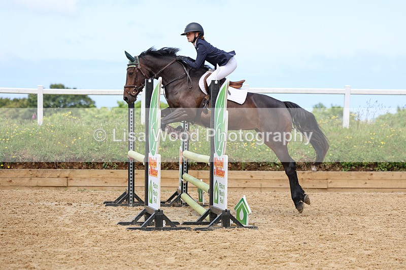 3E7A3106 - Class 4: Senior British Novice/90cm open