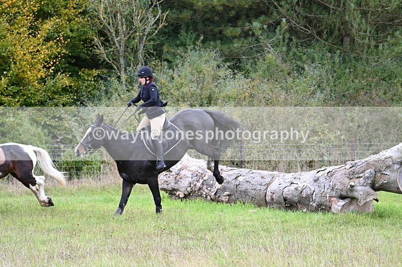 WJ7_3772 - Camera 1 Line 1