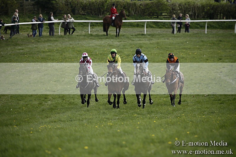 PtP 170417 310 - Old Berks Point-to-Point Lockinge 17/04/17