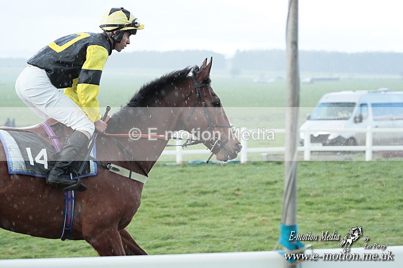 PtP 230324 798 - Tedworth Hunt PtP Larkhill Raccourse 23rd March 2024