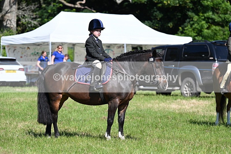 WJ7_0402 - Class 8 First Rally Pony