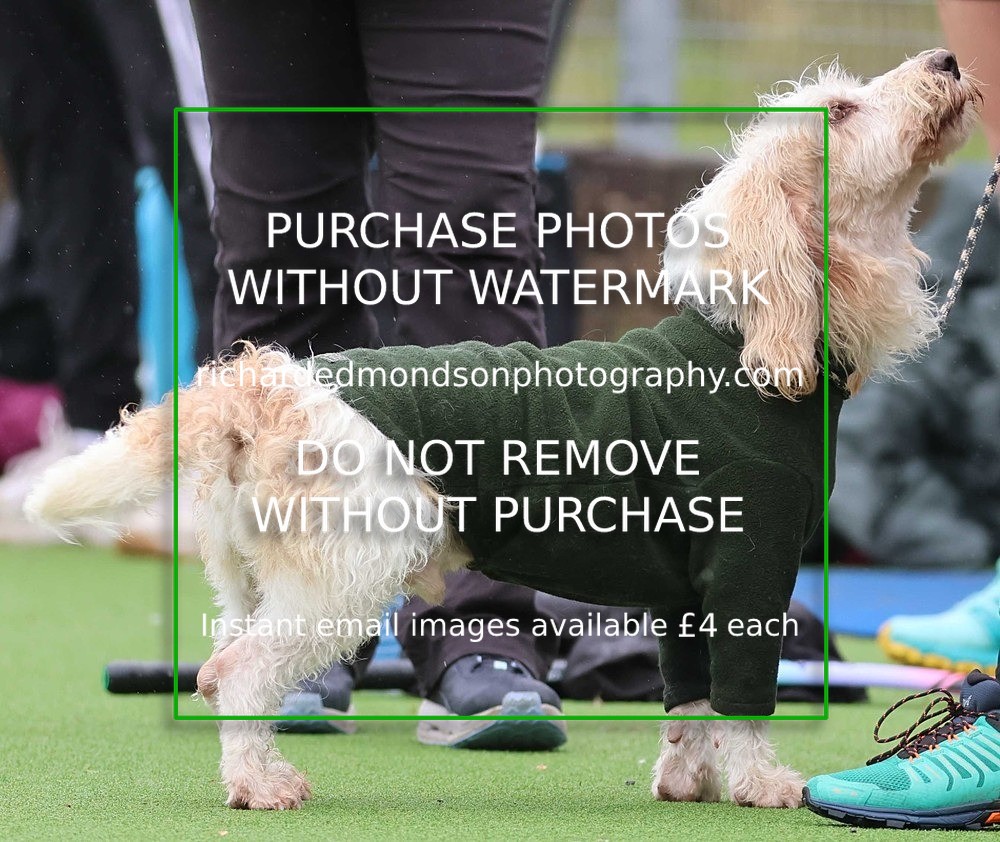 533A1533 - Ambleside Hockey vs Keswick Hockey (20/9/25)